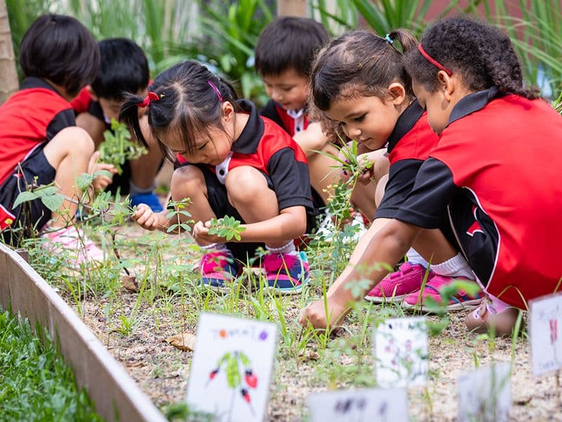 Pre-Primary (Nursery – UKG)