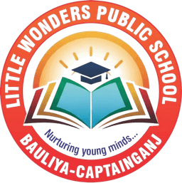 Little Wonders Public School